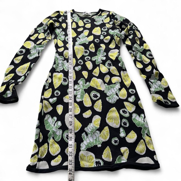 OPENING CEREMONY • jacquard knit bodycon ginger lemon lime jalapeño dress xxs xs - Picture 7 of 8
